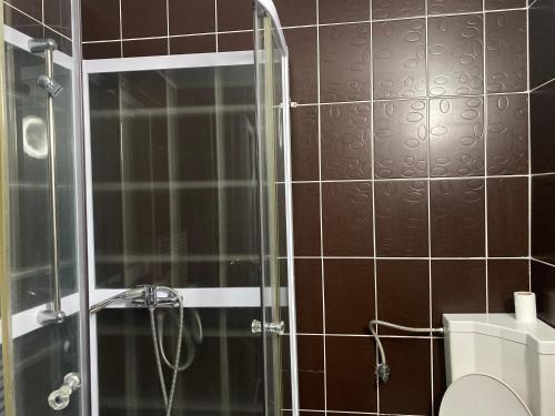 a bathroom with a glass shower with a toilet at Pensiunea Hyperion Cormaia in Sîngeorz-Băi