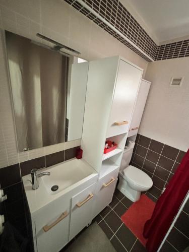 une salle de bain avec un lavabo blanc et des toilettes dans l'établissement Beau STUDIO HIPPODROME MER PLAGE, à Cagnes-sur-Mer
