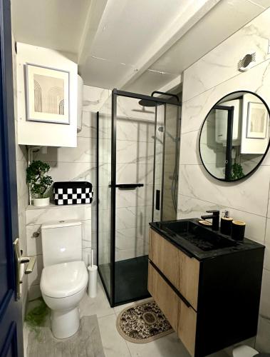 une salle de bain avec toilettes, douche et lavabo dans l'établissement Charmant studio en hyper centre, à Orléans