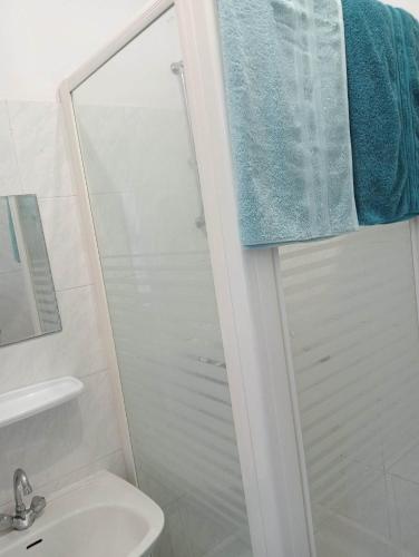 une salle de bain avec douche et lavabo dans l'établissement Abillard sylvia, à Commequiers