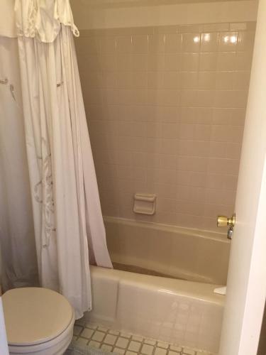 a bathroom with a tub and a toilet and a shower at Water's Edge on Canandaigua Lake 2 bedroom only October 15-April 30 El Borde del Agua de Canandaigua in Canandaigua
