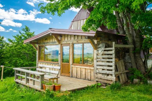 a tiny house with a deck and a tree at Maple village in Žabljak