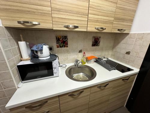 Cuina o zona de cuina de Apartment Studio