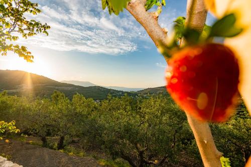 a strawberry hanging from a tree with the sunset in the background at Rikanthos Stone Sea View Apartment ΙΙ in Kissamos