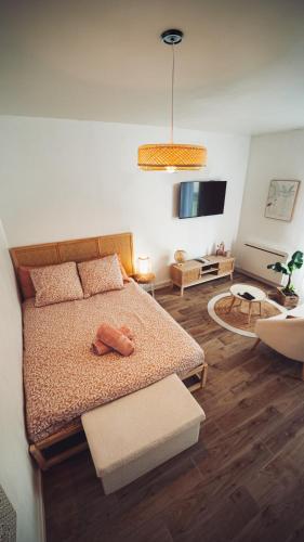 a bedroom with a bed and a flat screen tv at Le studio Dunois in Orléans