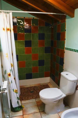 a bathroom with a toilet and a colorful tiled wall at Casa el Fanoso in Luarca