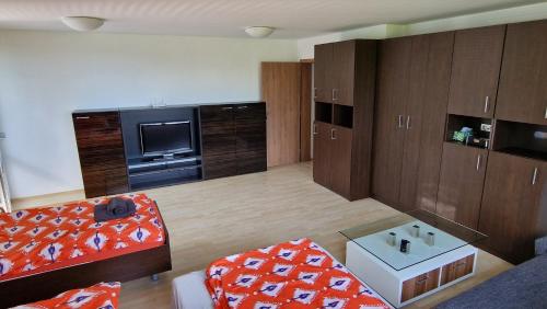 Кухня или мини-кухня в Apartmán ve vile Soňa pláž u Vrbiček
