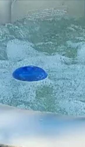 a blue frisbee is in the water at Villa Baya in El Haouaria