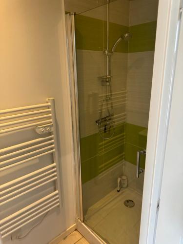une douche avec une porte vitrée dans une salle de bain dans l'établissement Studio Gabriel, à Villeurbanne