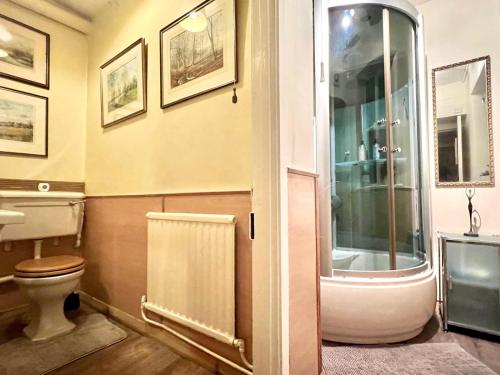 a bathroom with a toilet and a shower at Colthrop Manor B&B in Thatcham