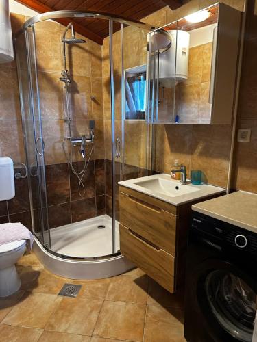 a bathroom with a shower and a sink at PAULINA Apartment in Medulin
