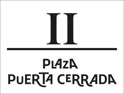 PlazaMayorSuites photo 102