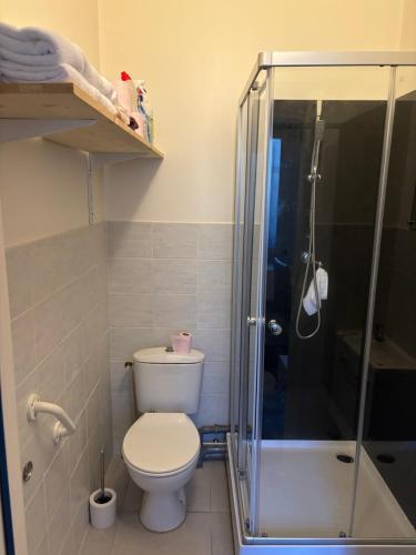 une salle de bain avec toilettes et douche dans l'établissement Chambre 2 personnes, à Saint-Vallier