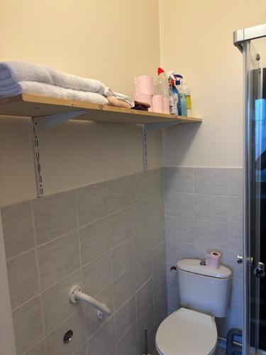 La salle de bains est pourvue de toilettes et d'une étagère sur le mur. dans l'établissement Chambre 2 personnes, à Saint-Vallier