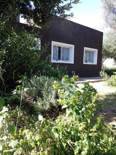 a house with two windows and a garden with flowers at Casa Villa Alba Carpinteria in Carpintería