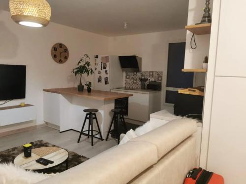 un salon avec un canapé et une table dans l'établissement Appartement charmant à Viroflay avec terrasse & parking, à Viroflay