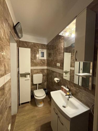 a bathroom with a toilet and a sink at Apartments with parking space Jelsa, Hvar - 4040 in Jelsa