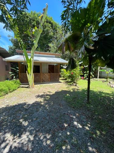 a house with a palm tree in front of it at Ballena Oasis Homes & Glamping in Uvita