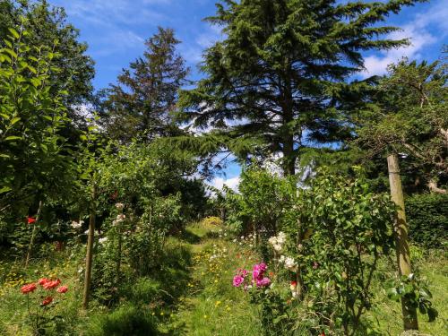 a garden with flowers and trees on a sunny day at Little Timbers in Ringwood