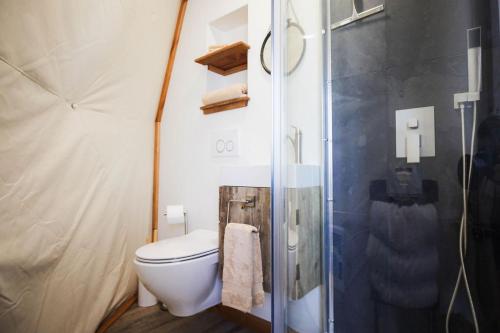 a bathroom with a toilet and a glass shower at Pure Heart Retreat in Cody