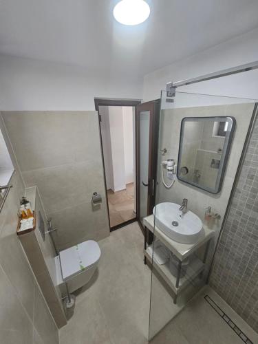 a bathroom with a sink and a toilet at Casa Boeriu in Sfântu Gheorghe