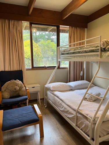 a bedroom with two bunk beds and a chair at Willunga Cottage — Sweet Country Retreat in Lyndhurst South
