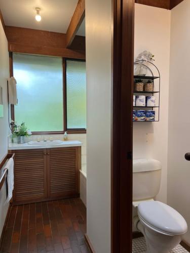 a bathroom with a toilet and a sink at Willunga Cottage — Sweet Country Retreat in Lyndhurst South