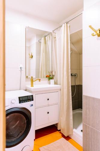 a bathroom with a washing machine and a sink at Cozy flat in Center in Maribor