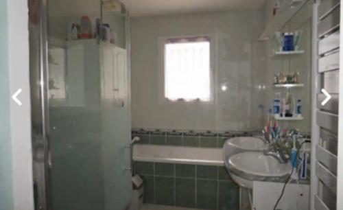 une salle de bain avec un lavabo et une baignoire dans l'établissement Maison de campagne 12 personnes, à Villeloup