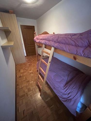 a small room with two bunk beds in it at Sole e Neve -Sun & Snow in Forno di Zoldo