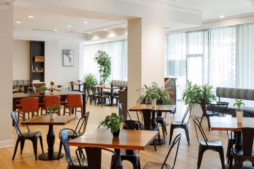 En restaurant eller et andet spisested på Hilton Greenville