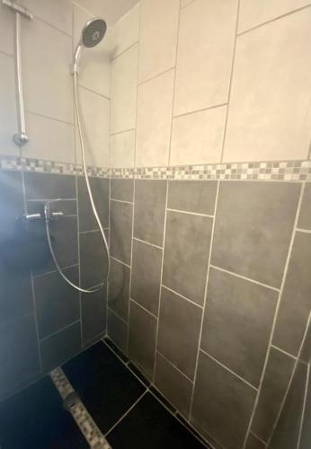 une douche avec pommeau de douche dans une salle de bain dans l'établissement Le Ptit Rupt, à Rupt-sur-Moselle