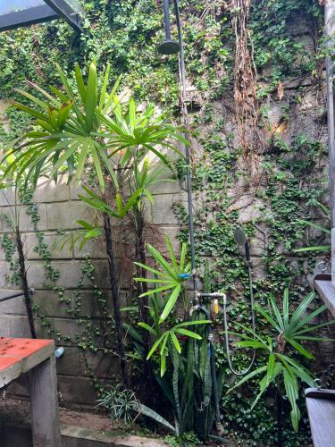 Taman di luar Út Trinh Homestay