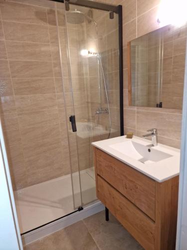 une salle de bain avec un lavabo et une douche dans l'établissement Apartement bord de mer parking terasse, à La Ciotat