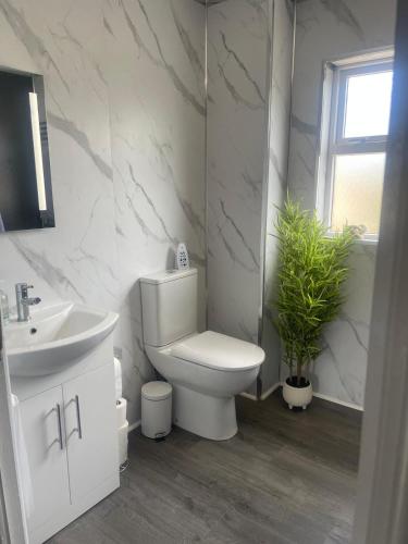 a white bathroom with a toilet and a sink at Belfast Grand Central Living 5 Minutes Walk From Grand Central Station in Belfast