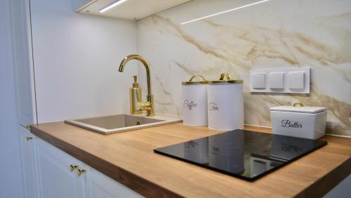 a kitchen counter with two trash cans and a sink at Art Apartments Warszawska 21 Katowice in Katowice