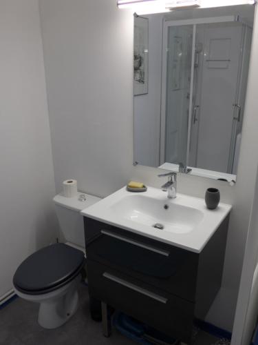une salle de bains avec lavabo, toilettes et miroir dans l'établissement Studio 27m2 centre-ville, à Bourges