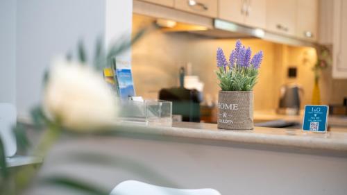 a vase with purple flowers sitting on a counter at I & G Family Apartment in Kalabaka