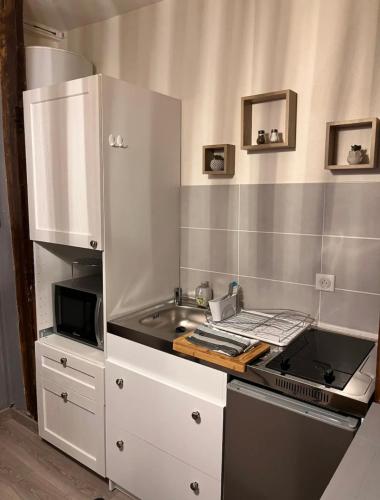 une cuisine avec un évier et une cuisinière four supérieur dans l'établissement Studio cosy, cité gastronomique, à Dijon