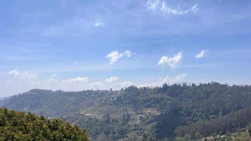 a view of a mountain with trees on it at Misty Mountain Kodaikanal in Kodaikānāl