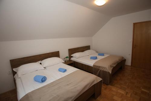 two beds in a room with blue pillows on them at Apartments Vila Leska in Zgornji Leskovec