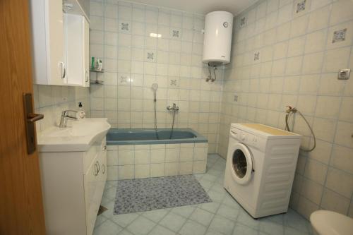 a bathroom with a sink and a washing machine at Apartments Vila Leska in Zgornji Leskovec