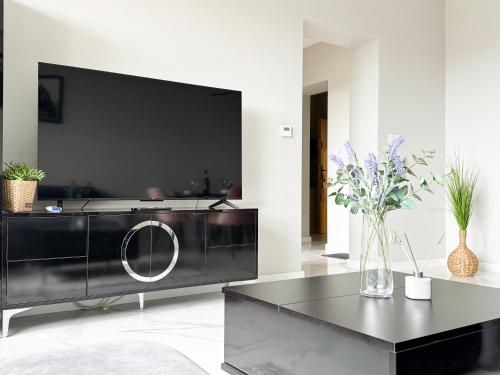 a living room with a large black entertainment center at Laguna Beskidów Resort - Apartament A74 in Zarzecze