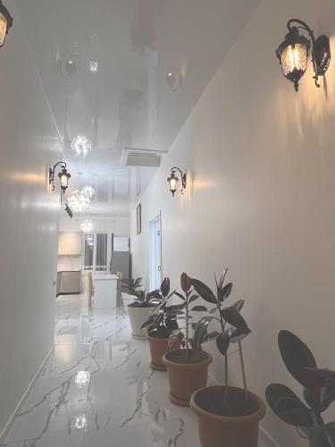 a living room with potted plants on the floor at Гостевой дом Руслан in Batumi