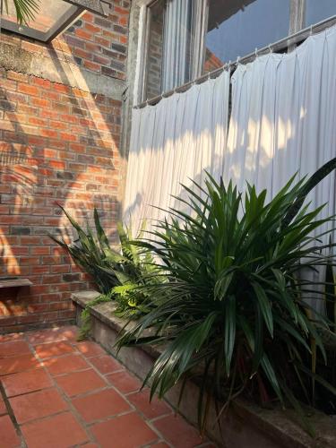 Taman di luar Út Trinh Bến Tre Homestay