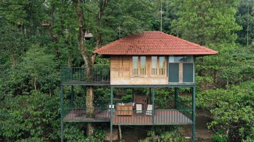 a tree house in the middle of a forest at Avadale Wayanad - Stag Groups Not Allowed in Kalpetta