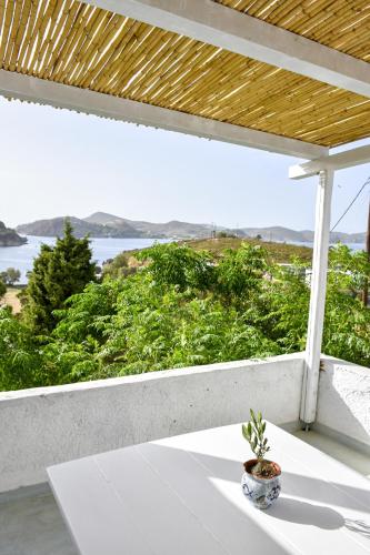 a potted plant sitting on a balcony with a view of the ocean at Sapsila Patmos Residences in Sapsila