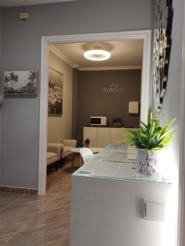 Pensión Atenea & Via Romana - Grupo Arcanos