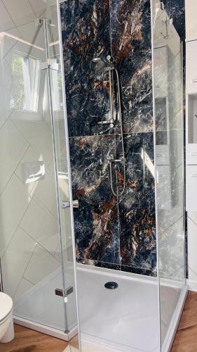 a shower with a glass door in a bathroom at Riwiera Strzelecka in Strzelce Małe