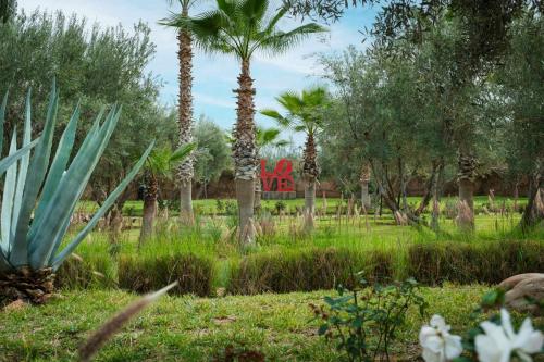 Taman di luar Le Clos des Oliviers